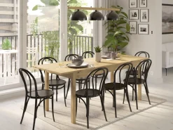 Bord Bristol 221 (Artisan eg)