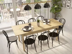 Bord Bristol 221 (Artisan eg)