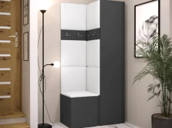 Entrésæt Pinis XXIV (Grafit)