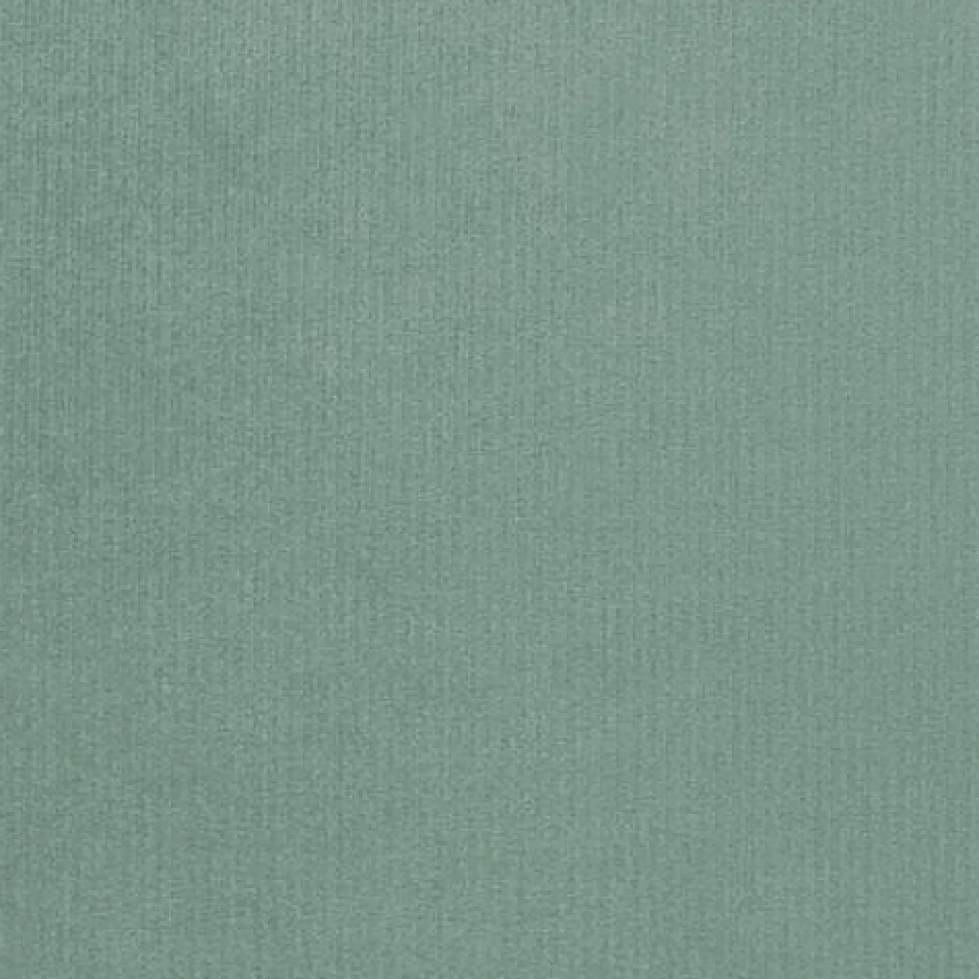 Entrésæt Pinis XXV (Hvid)