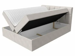 Kontinentalseng Aedes (Rico 1)