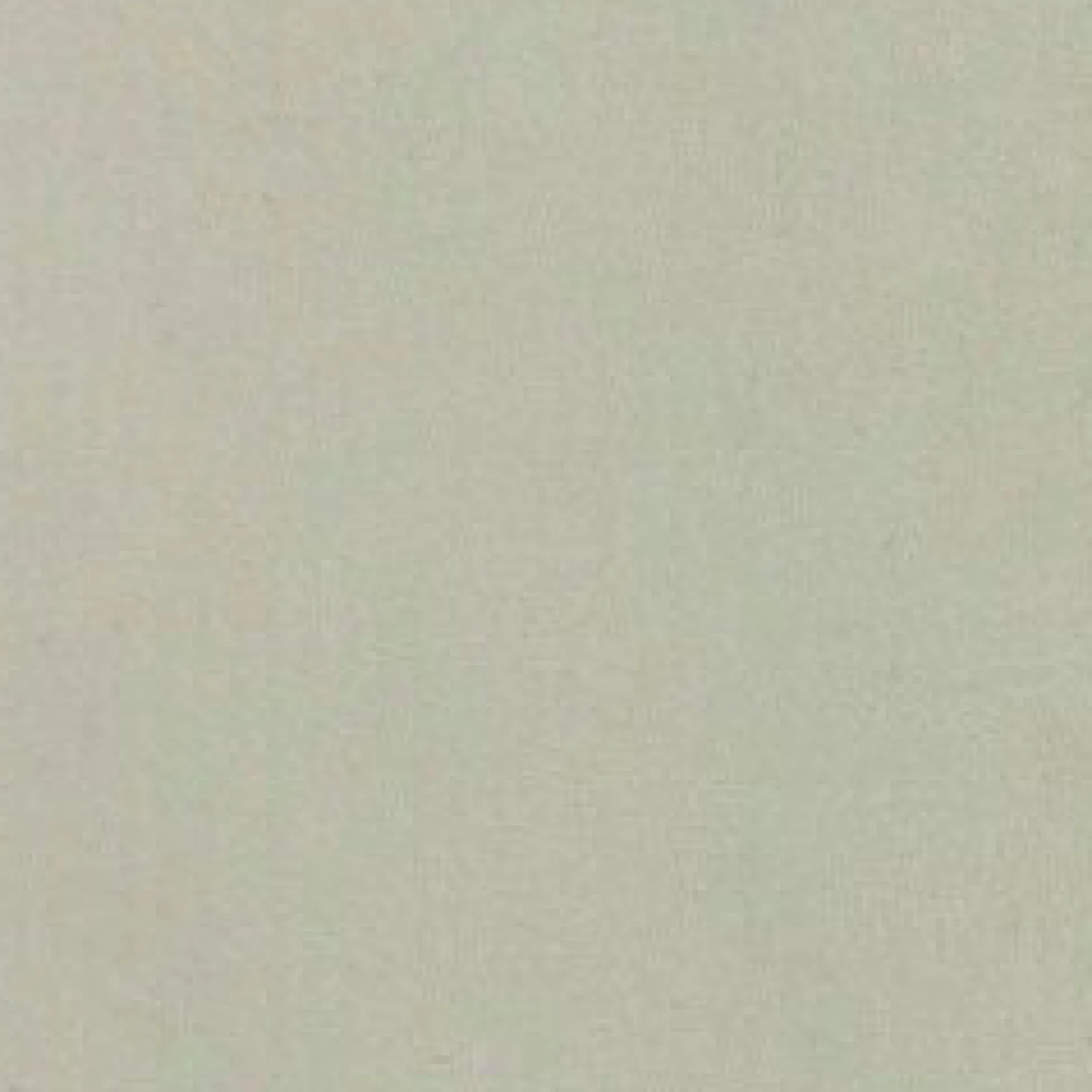 Kontinentalseng Caseus (Magic Velvet 2201)