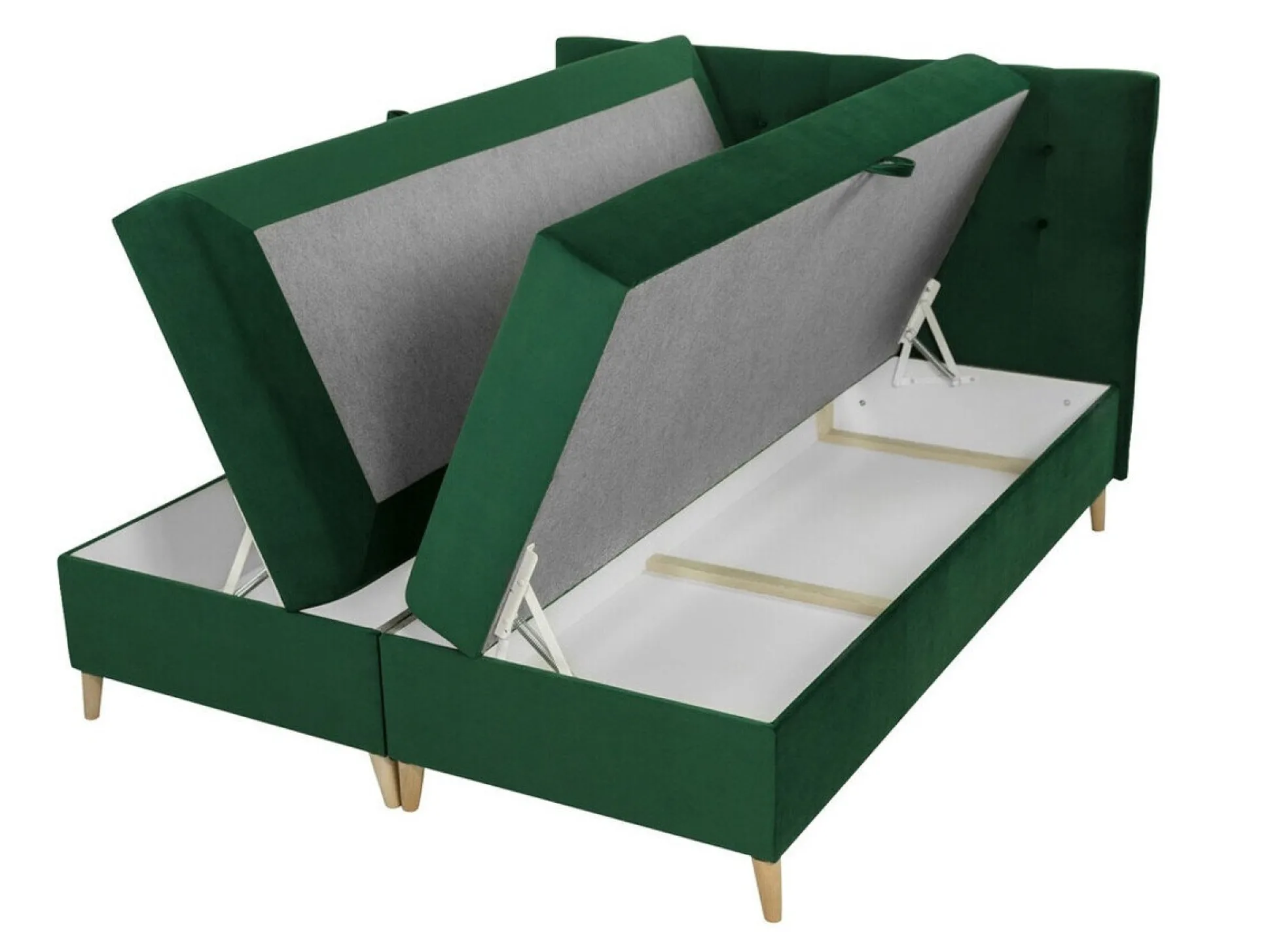 Kontinentalseng Caseus (Magic Velvet 2201)