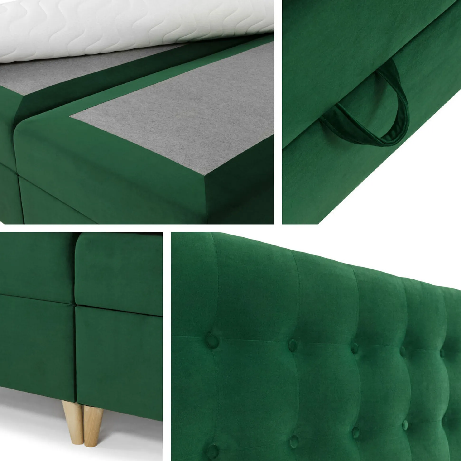 Kontinentalseng Caseus (Magic Velvet 2201)