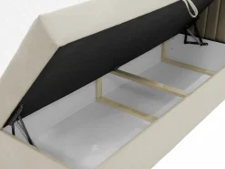 Kontinentalseng Comfivo Apis I (Manila 02)