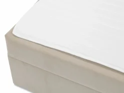 Kontinentalseng Comfivo Apis I (Manila 02)