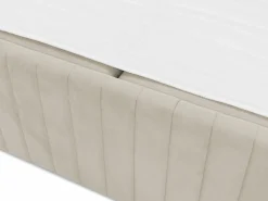 Kontinentalseng Comfivo Apis II (Manila 02)