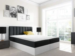 Kontinentalseng Culina (Soft 017 + Ikar 09)