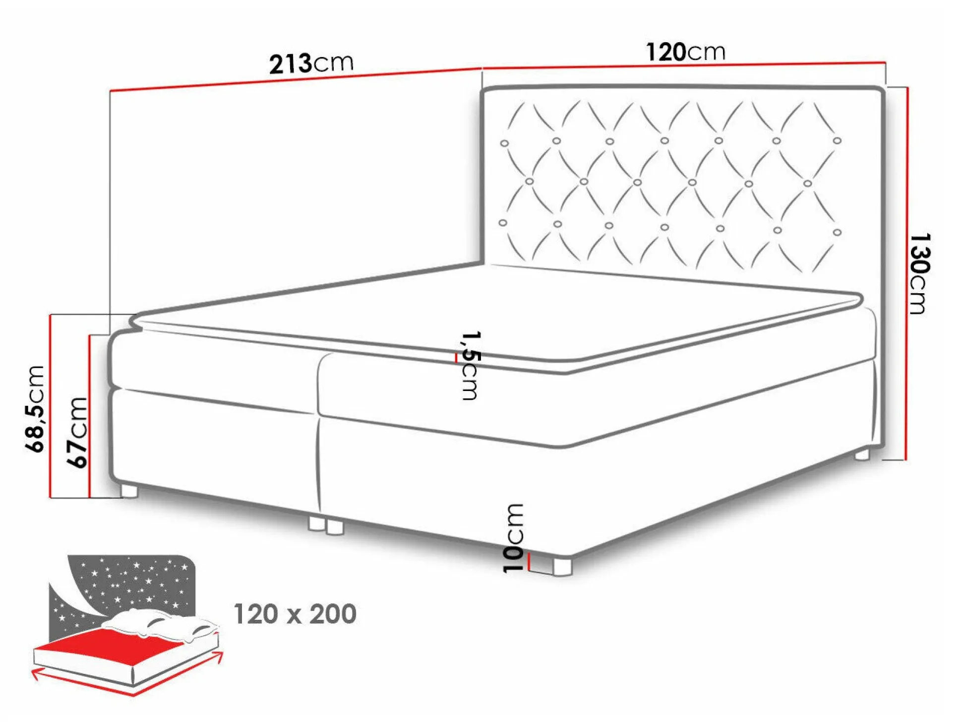 Kontinentalseng Domus (Primo 8804)