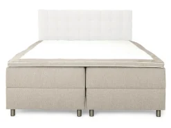 Kontinentalseng Dortesa 131