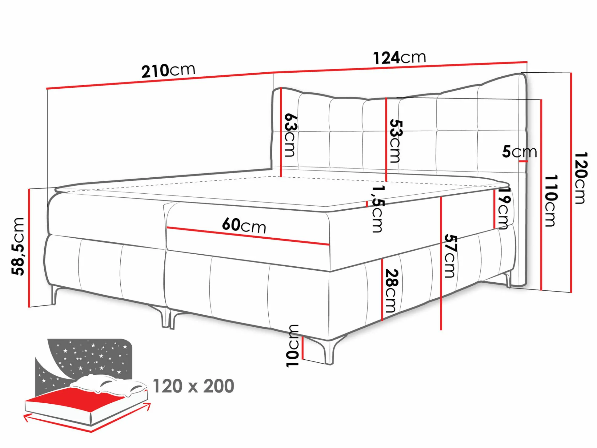 Kontinentalseng Littera (Freya 210.20)