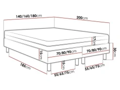 Kontinentalseng Logan 103 (Manila 09)