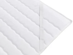 Kontinentalseng Memphis 100 (Rico 03)