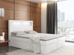 Kontinentalseng Pomum (Soft 017)