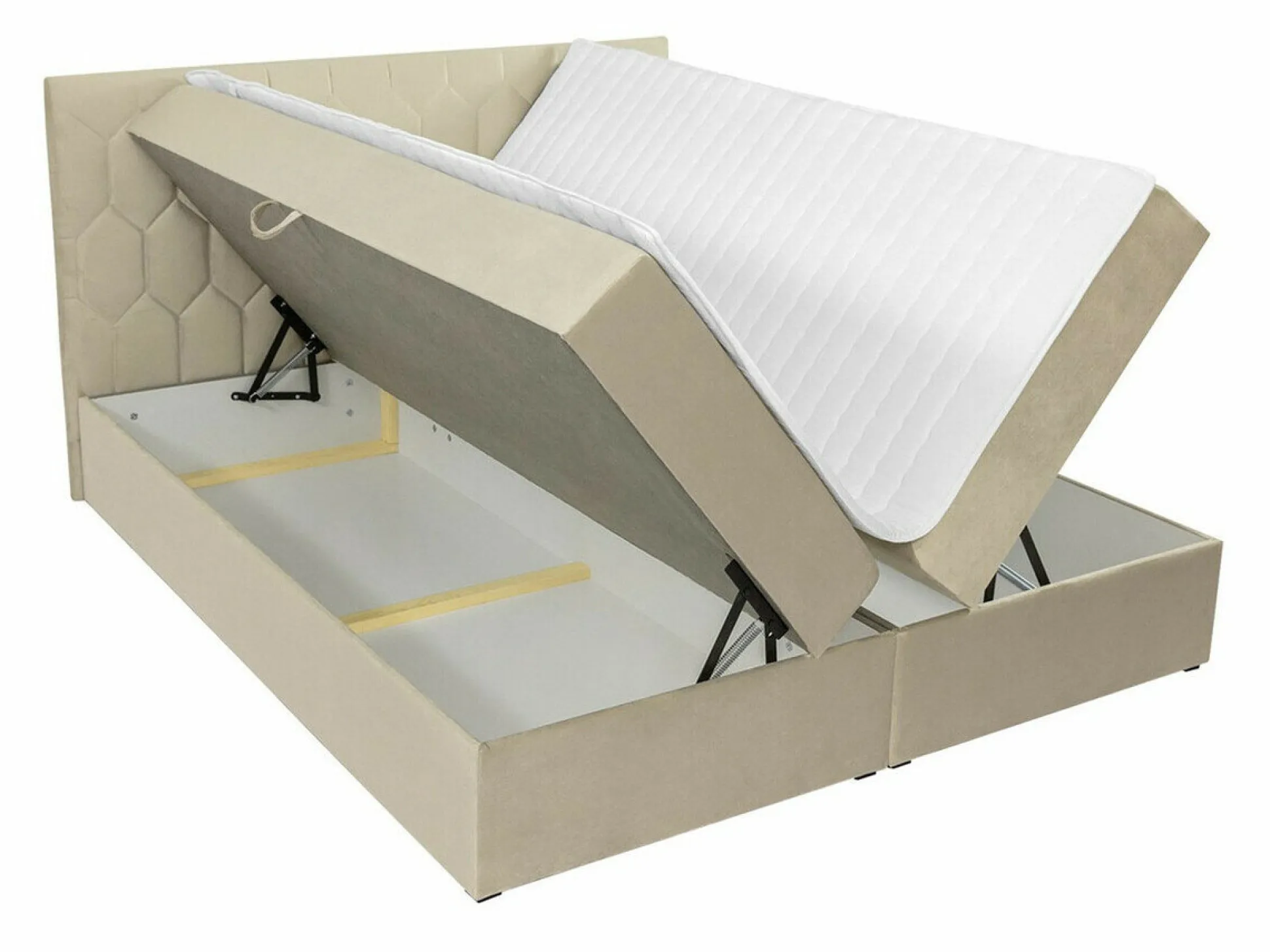 Kontinentalseng Pons III (Fresh 4)