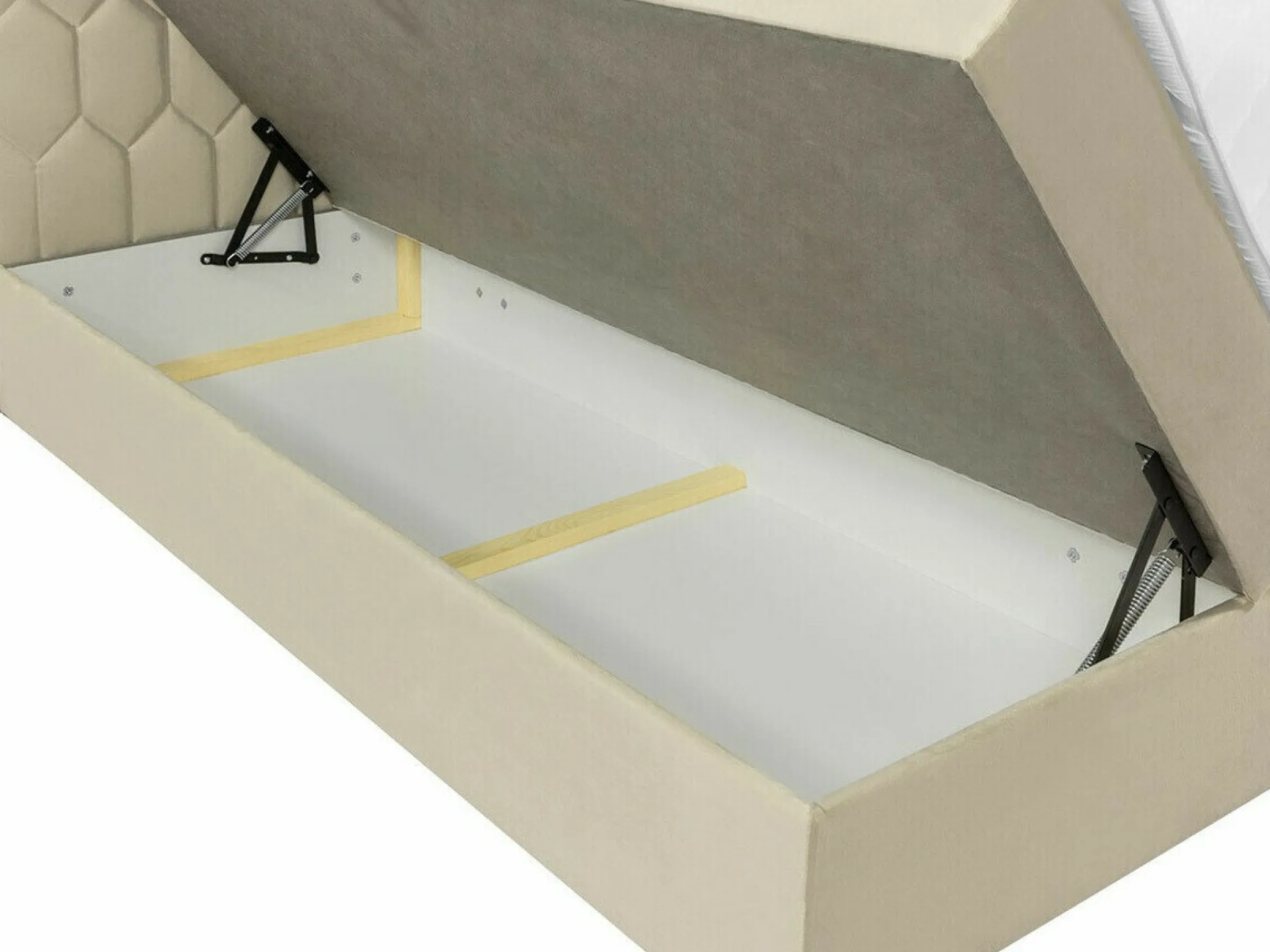 Kontinentalseng Pons III (Fresh 4)