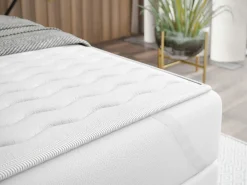 Kontinentalseng Rivus I (Coral 15)