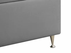 Kontinentalseng Seattle 209 (Kronos 15)