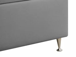 Kontinentalseng Seattle 210 (Kronos 15)