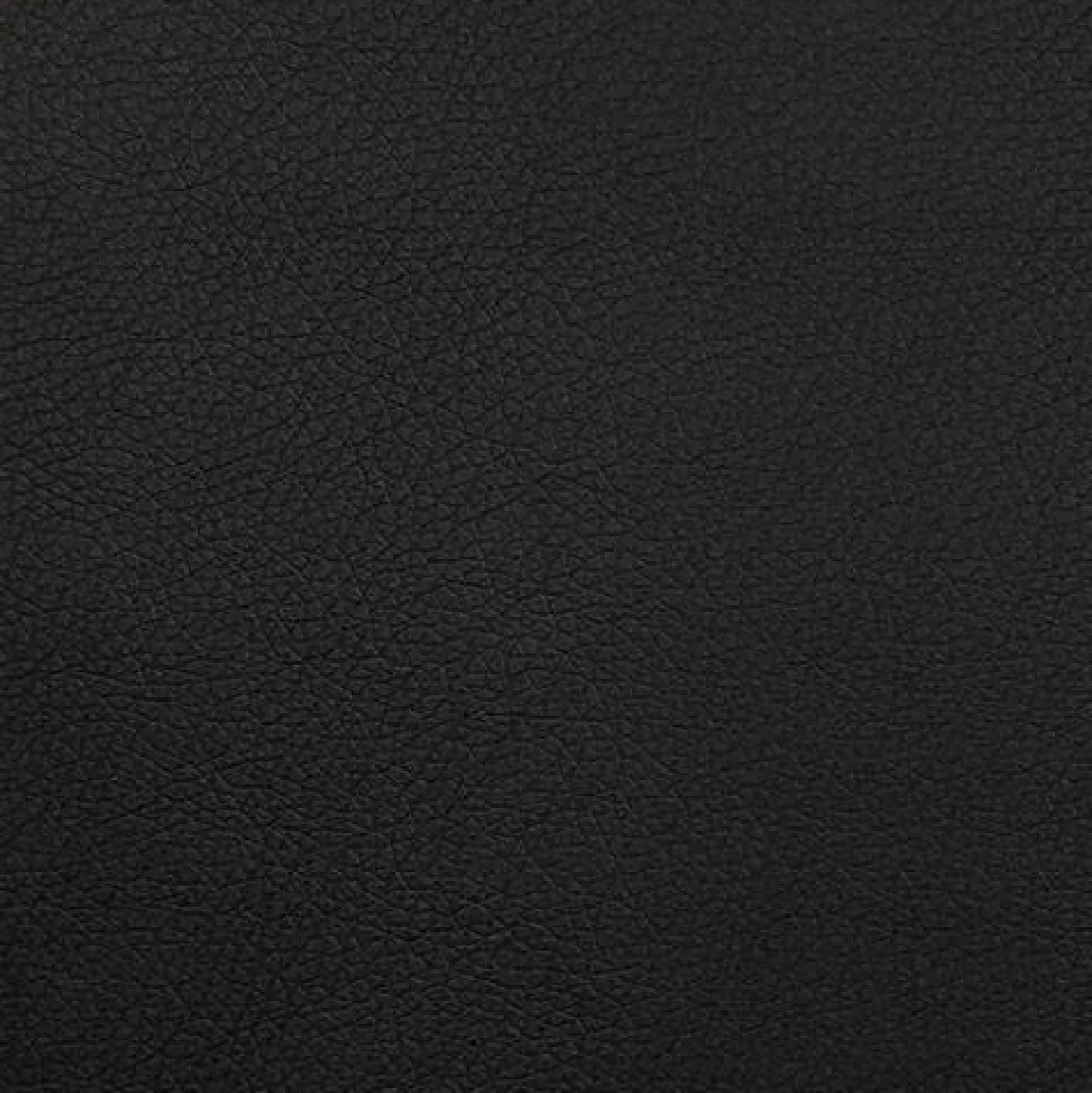 Kontinentalseng Tectum (Soft 011)