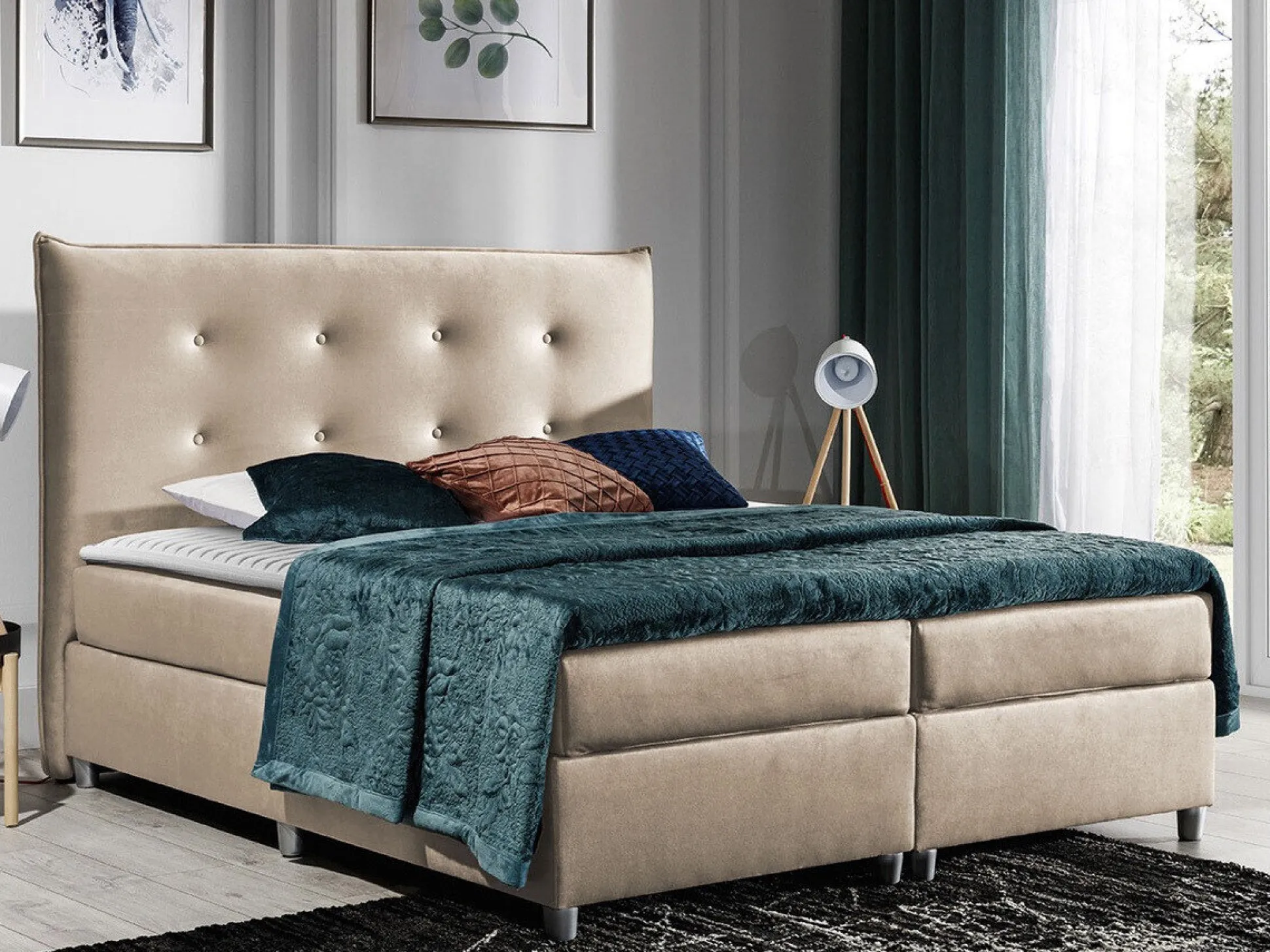 Kontinentalseng Titulus (Uttario Velvet 2979)