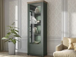 Reol Tolnue 101 (Mørkegrøn + Lefkas eg)