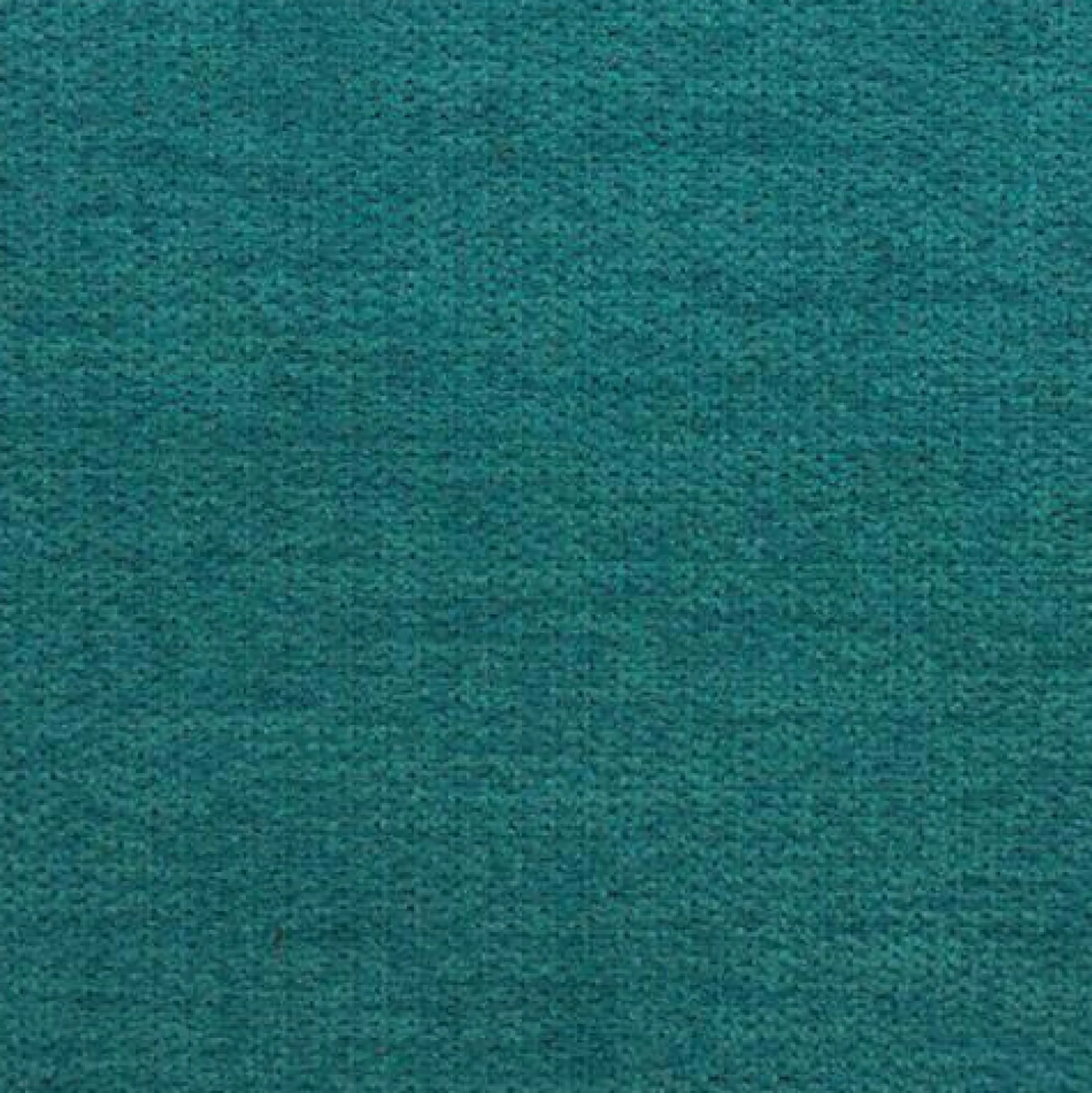 Seng Arcus (Rico 11)