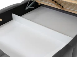 Seng Comfivo Fabrica (Kronos 19)