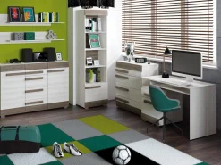 Skrivebord Alcala 110