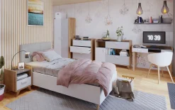 Skrivebord Enofere 105