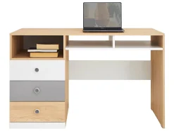 Skrivebord Tesmonu 107