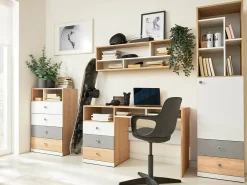 Skrivebord Tesmonu 107