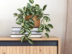 TV-bord Fernolu 105 (Artisan eg + Sort)